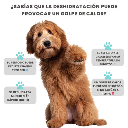 DogFlask™ - Botella Portátil Para Perros